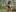 _Soo_dreamy_Wild Oily Muscles图片 7