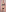 CelestialFoxxx 🦃 NOVEMBER - GOBBLE GANG CLUB 🦃 Pic Set - GLITTER/OIL + RAW PICS Pic