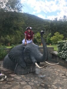 Pandy_888 travel day Pic 3