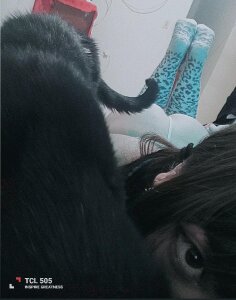 ChaosTheorry Public Pic 5