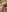 Nikole_Boom Sweet blowjob Pic 5