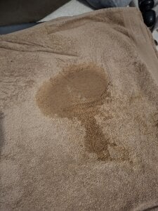 Squirt de Rorschach de cplcokins34  photos