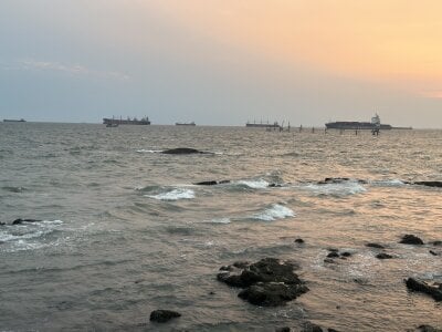 Public de traidamsgggne Foto 2