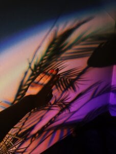 BootyTrisha Tropical sexuality Pic 5