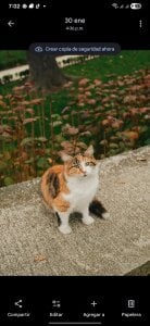 Public de ne_yo69  Imagens