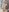 LaraHollywood Naughty in the dressing room 💋 사진 6