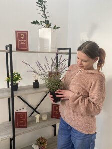 Public de VetaDearmon  9 photos