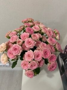 AliceAtkins My morning! Pic 3