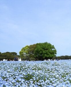 UMIumi-のUmi's daily life🐬の 5枚の写真
