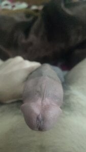 amirMohamed58: . ( 3 фото)