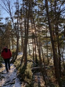 kash49292 Mee টি ছবি