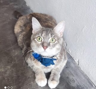 Roja_tentacion Public รูป  7