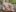 Margo__dream Sensual elf Pic