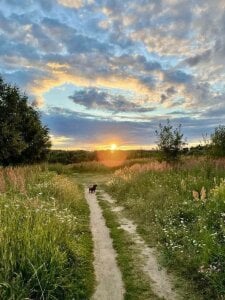 and the most favorite de HollyGibson  2 Imagens