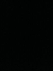 Public de Longcock4748  3 Imagens