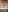 vixendoll87: Feeling fiesty ( 3 фото)