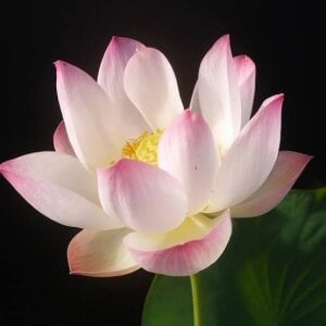 Karen_o87 Public Pic 3