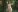 SophiaVilner Naked fantasy in the forest Immagine 