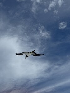 Zdjęcia kakarot241515 Public:  3