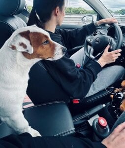 _ni_kiss with dogs зображення 3