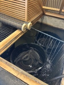 hi_ka_ri0728ぴかりんの日常♡ Bild 5