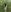 RussNocturnal Forest nudes 🍀🍀 Pic 3