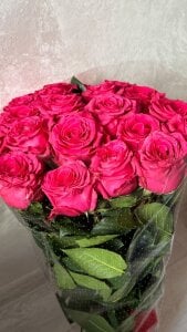 MelissaMelrey 🎄❄️ Pic 2