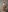 Oopsfoxy December 2021⭐️ Pic 6