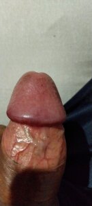 franco-4030 Public Pic