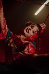 Hotary_Yuko sad clown - happy clown Εικόνα 3
