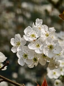 Public od Marui-1  3 snímek