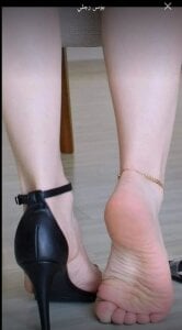 hal221 Public Bilde 6