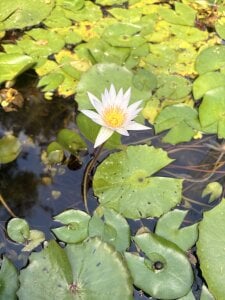 Valen_ross_ Playa brisa y mar 🌊 صورة واحدة|Valen_ross_ Playa brisa y mar 🌊 صورتان|Valen_ross_ Playa brisa y mar 🌊  5 صور|Valen_ross_ Playa brisa y mar 🌊  5 صورة