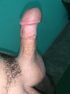 yassinewael3748 Sd Pic