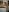 SofiaLopez77のIn underwear in my kitchenの枚の写真