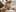 Iggi-Liona-Delicious hotel vibe XXX-Foto 9