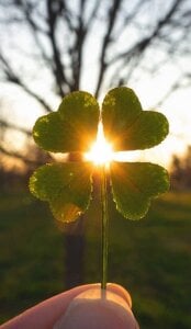 BunnyT_Bae__ Public Pic