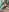 missmayaqueen i touch myself (secret)  6. fénykép