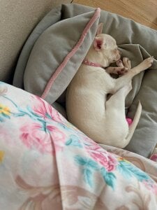 LaveraMelingのWavy stylingの 5枚の写真