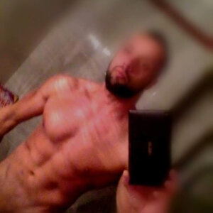 Terrrorrr Public Bilde