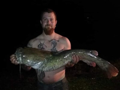 PNTlooker256 Public Pic