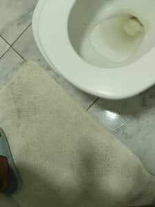 NXT26 Public Poză 2