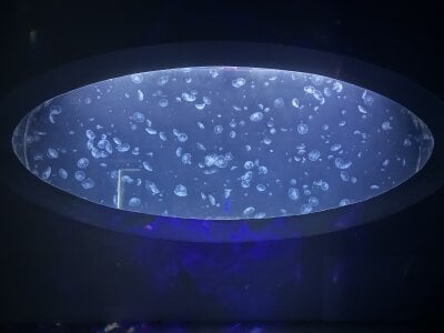 RomaaNaty Public Pic 3