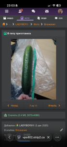 Alena504 Public Hình 6