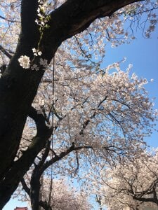 xiaoxiao-58 敏  5. fénykép