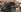 MY PETS AND NATURE de MistressSlut1 Fotos 7