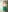 milfrousse GREEN DAY 😈 Pic 8