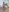 helenas_fantasy Your mommy at the laundry Foto  8