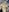 chris_adam97For you图片 2