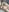 dianamilfのso sensual for u 🔥🥵の 4枚の写真